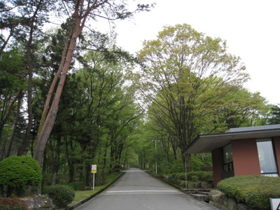南道路_01.JPG