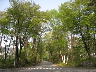 南道路_03.JPG