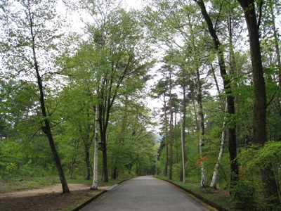 南道路_05.JPG