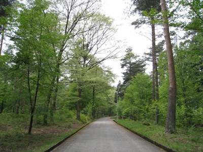 南道路_06.JPG