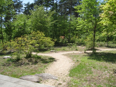 20120515_03.JPG