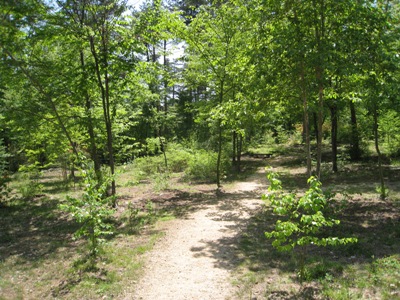 20120515_04.JPG