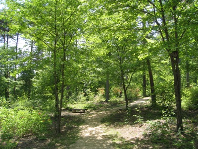 20120515_05.JPG