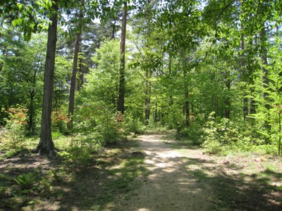 20120515_06.JPG