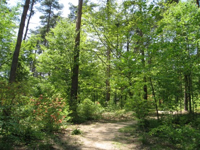 20120515_07.JPG