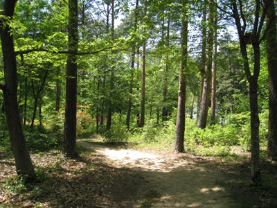 20120515_08.JPG