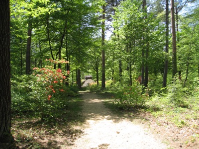 20120515_09.JPG