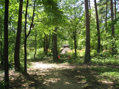 20120515_10.JPG
