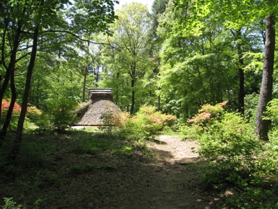 20120515_11.JPG