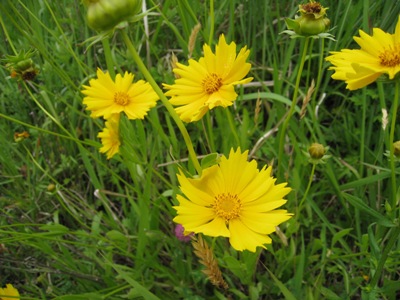 20120625_22%280623%29.jpg
