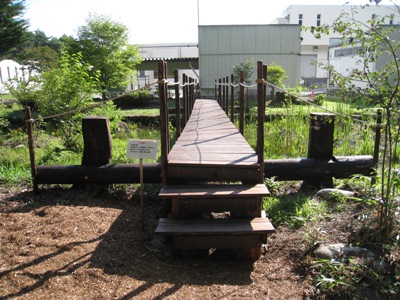 水芭蕉池の木橋