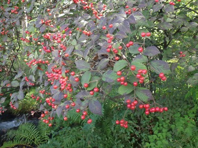 20121002_04.JPG