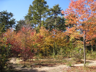 20121102_02.JPG