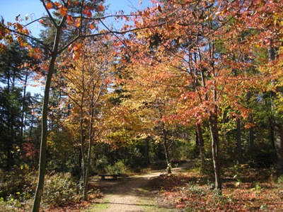 20121102_03.JPG