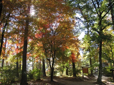 20121102_05.JPG