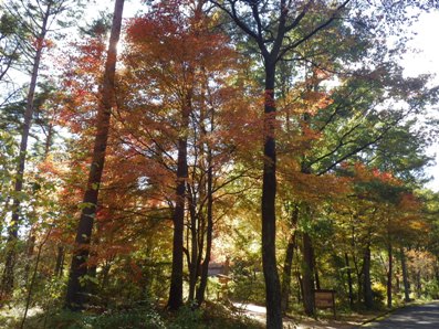 20121102_06.JPG