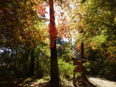 20121102_07.JPG