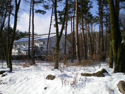 20121224_01jpg.JPG