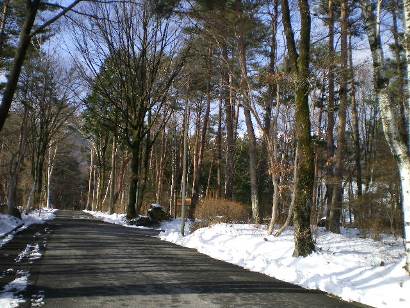 20121224_02jpg.JPG