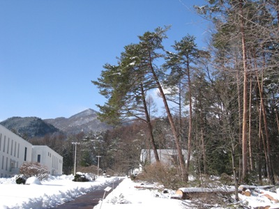 20130226_21.JPG