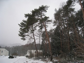 20130226_25.JPG