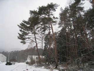 20130226_26.JPG