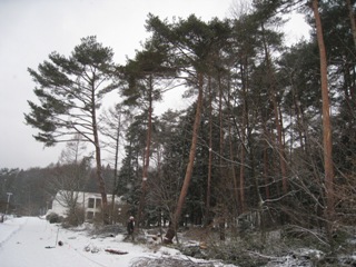 20130226_28.JPG