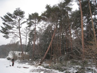 20130226_29.JPG