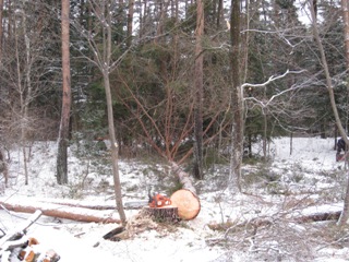 20130226_30.JPG