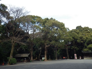 20130226_41.JPG
