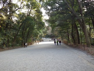 20130226_43.JPG