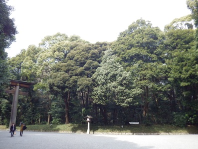 20130226_45.JPG