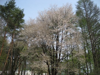 ２００８年４月２８日