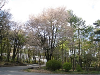 ２００９年４月２７日
