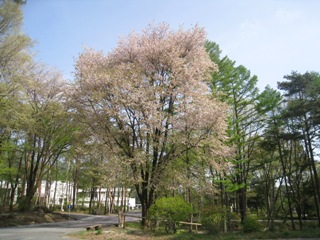 ２０１０年５月６日