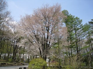２０１１年５月６日