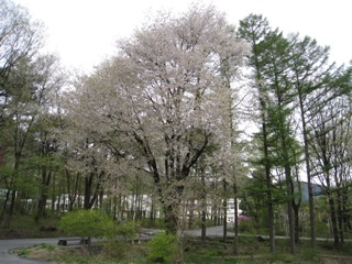 ２０１２年５月２日