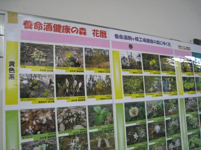 花暦‐2