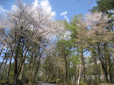 20130501_02.JPG