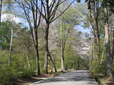20130501_03.JPG