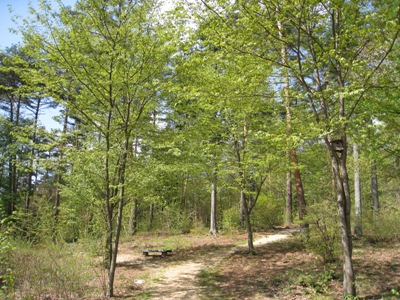 20130501_04.JPG