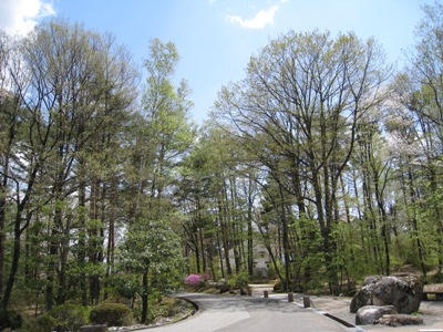 20130501_05.JPG