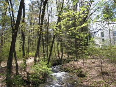 20130501_06.JPG