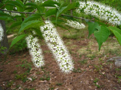 20130513_02.JPG