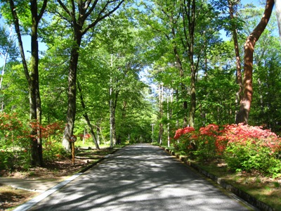 20130517_02.JPG