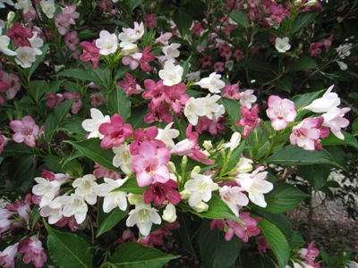 20130618_02.JPG
