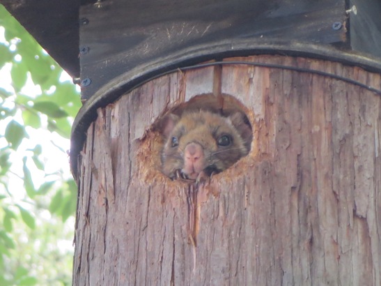 20130618_02.jpg.JPG