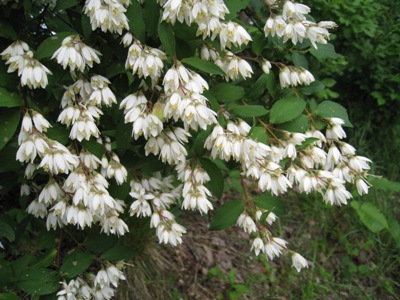 20130618_04.JPG