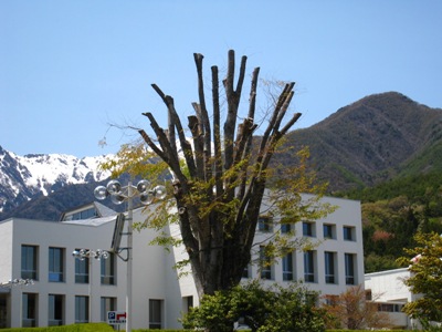 20130702_01.jpg