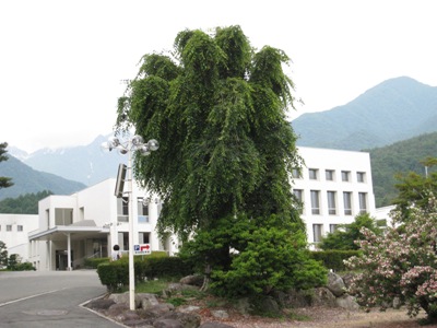 20130702_02.JPG
